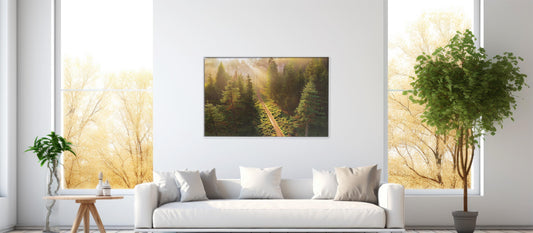 Whispering Pines – Tranquil Woodland Scene