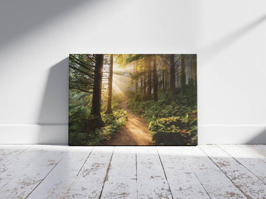 Morning Mist – Sunlit Forest Path Wall Art