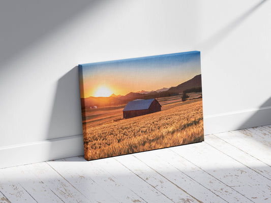 Amber Waves – Rustic Sunset Landscape