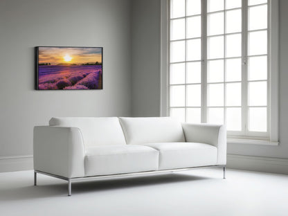 French Bloom – Purple Fields of Calm