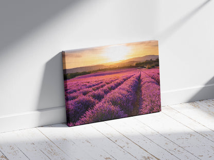 Scent of Summer – Lavender Landscape Print