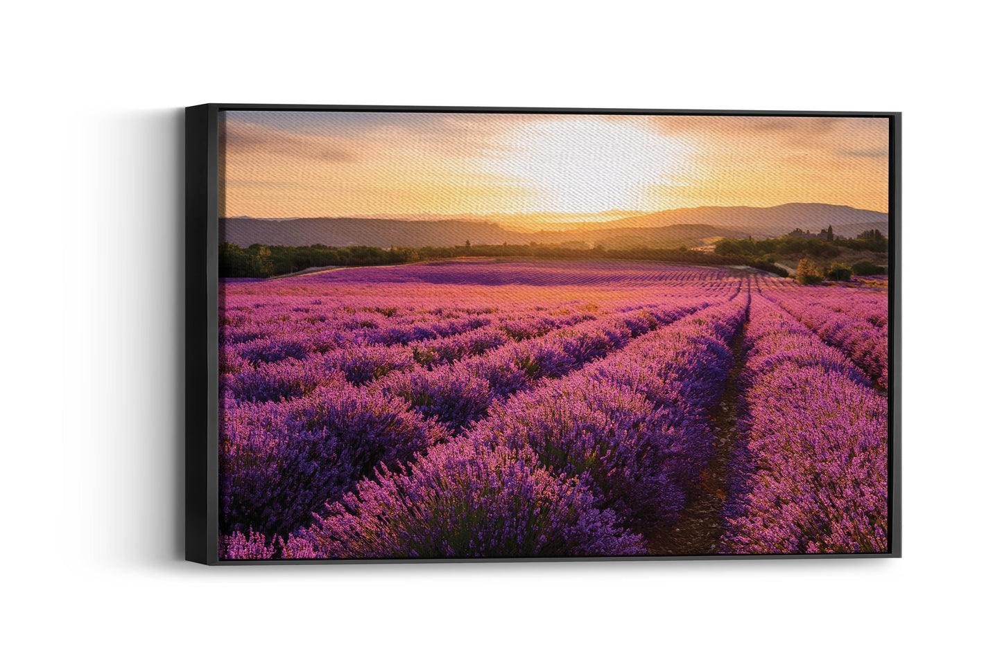 Scent of Summer – Lavender Landscape Print