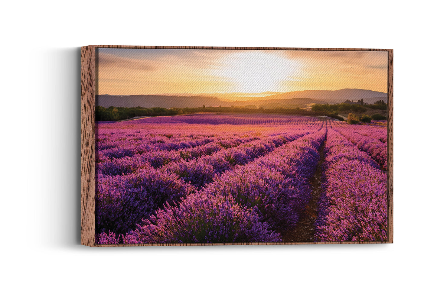 Scent of Summer – Lavender Landscape Print