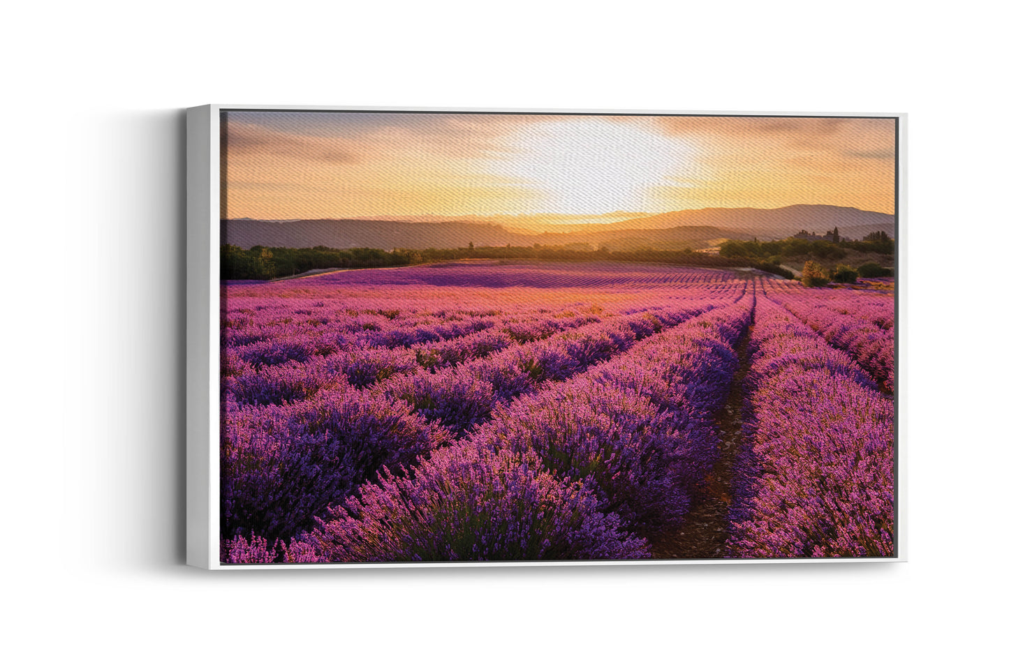 Scent of Summer – Lavender Landscape Print