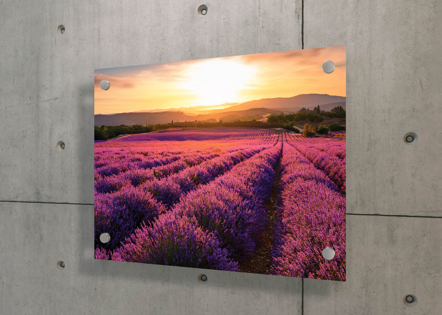Scent of Summer – Lavender Landscape Print