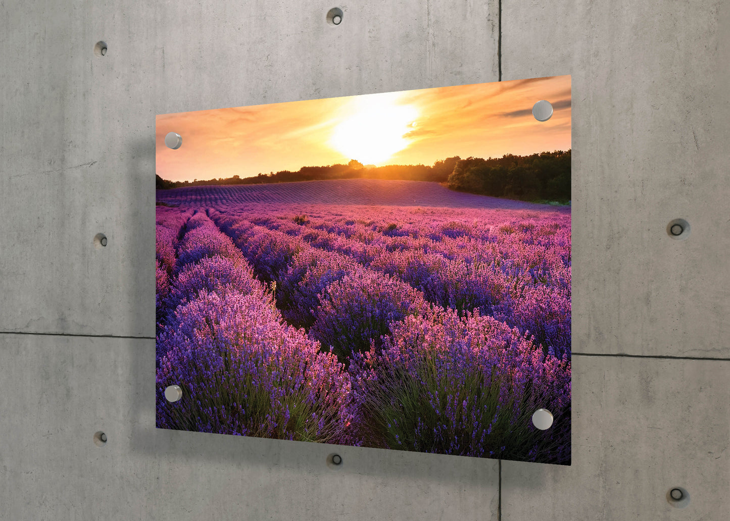 Lavender Dreams – Provence Field Wall Art