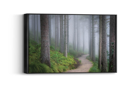 Ethereal Walk – Forest Fog Wall Art