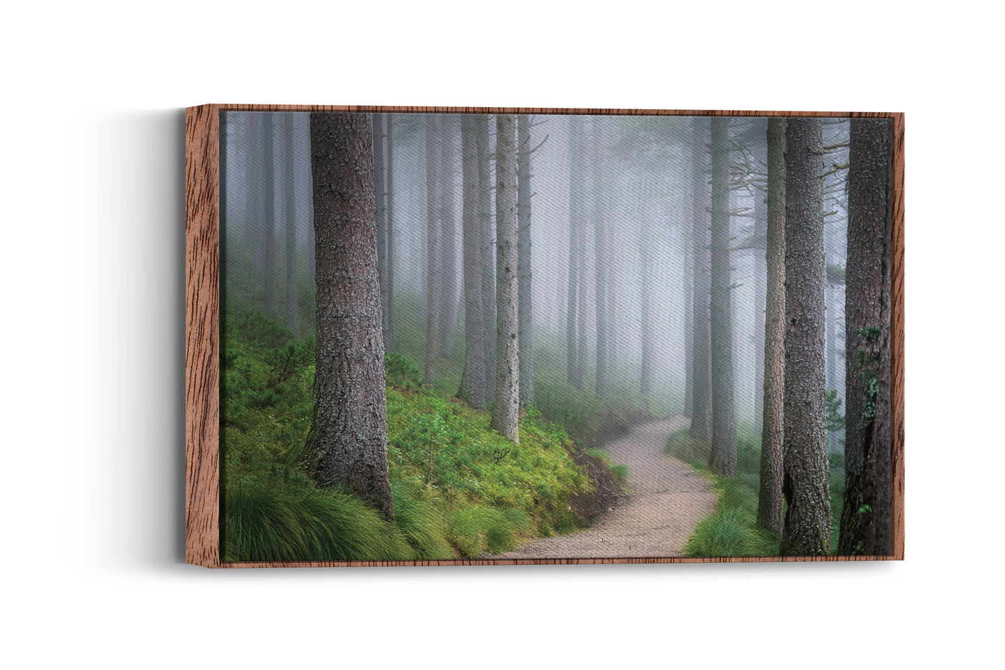 Ethereal Walk – Forest Fog Wall Art