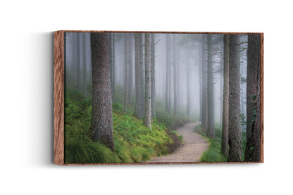 Ethereal Walk – Forest Fog Wall Art