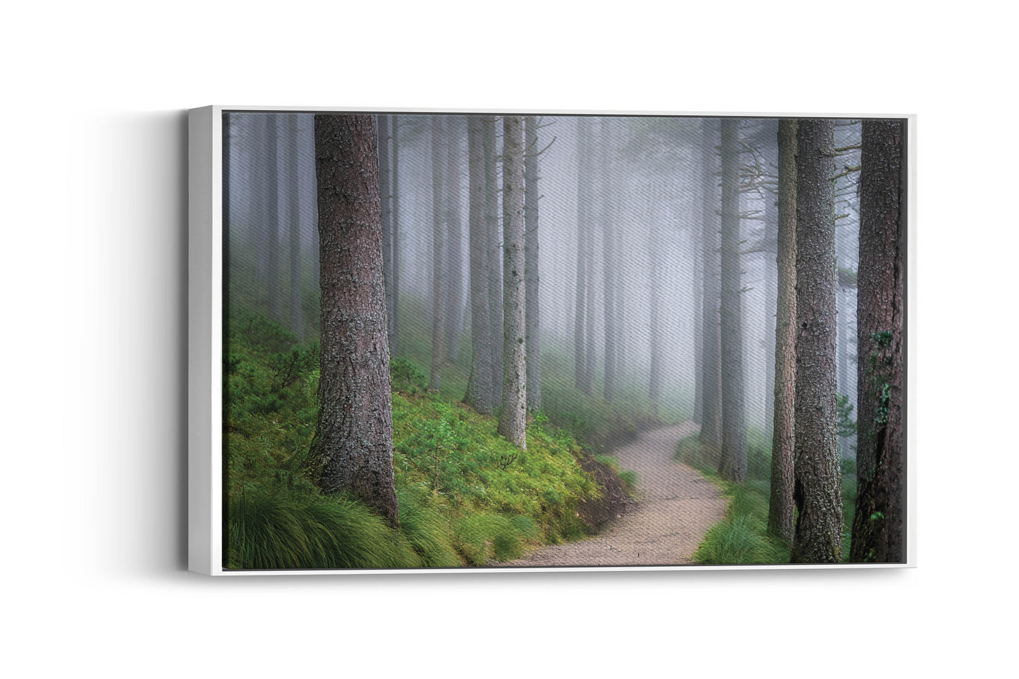 Ethereal Walk – Forest Fog Wall Art