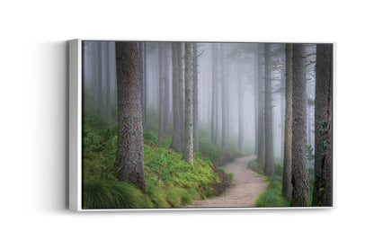 Ethereal Walk – Forest Fog Wall Art