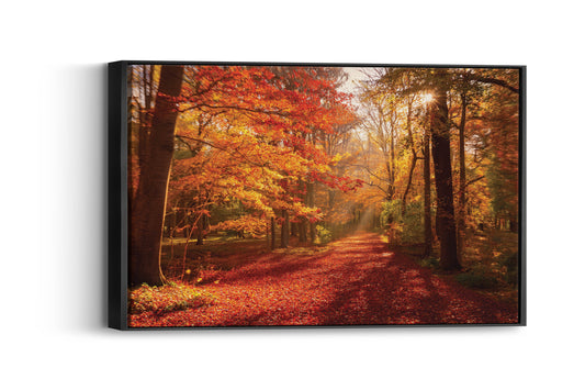 Golden Canopy – Fall Leaves Print