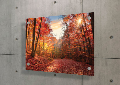Season Shift – Autumn Path Canvas