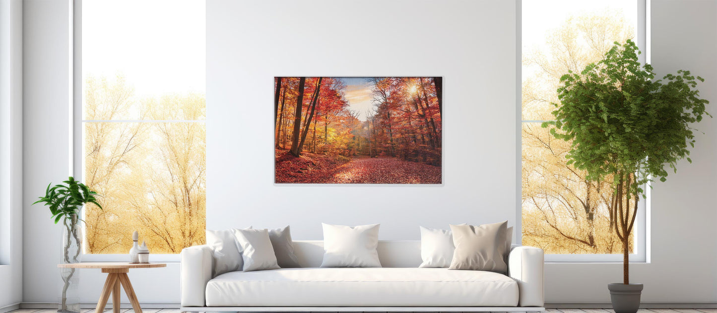 Season Shift – Autumn Path Canvas