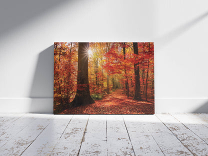 Crimson Fall – Autumn Forest Wall Art