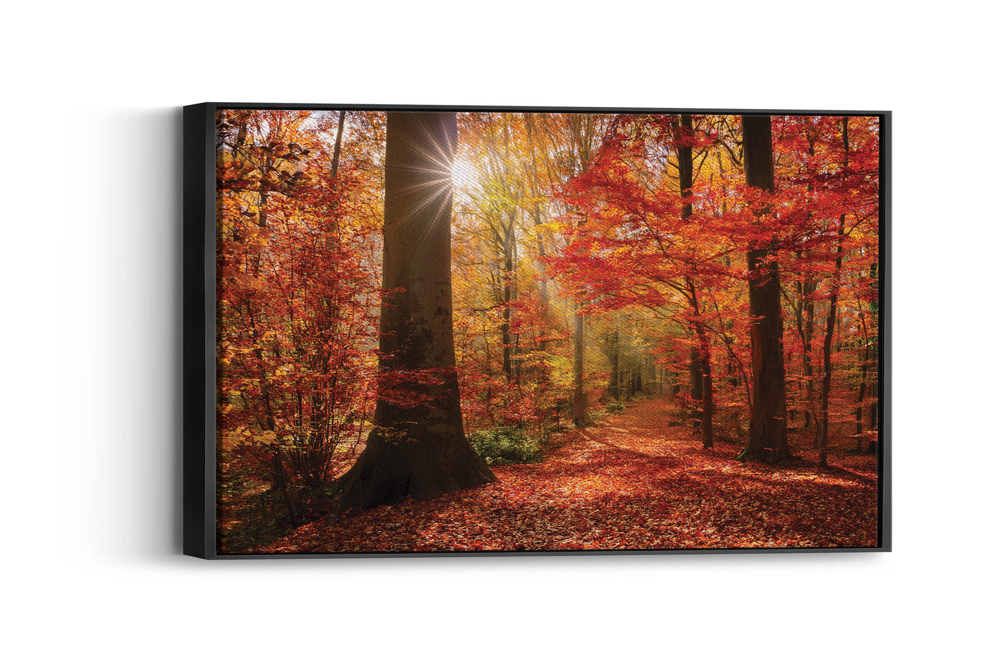 Crimson Fall – Autumn Forest Wall Art