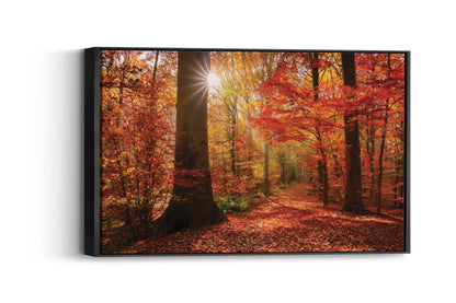 Crimson Fall – Autumn Forest Wall Art