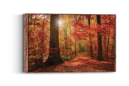 Crimson Fall – Autumn Forest Wall Art