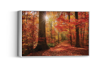 Crimson Fall – Autumn Forest Wall Art
