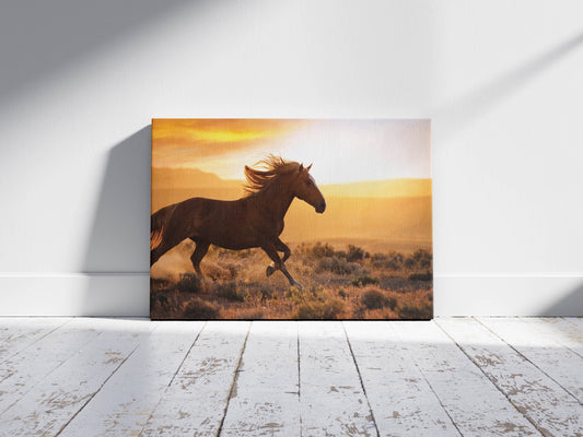 Freedom Ride – Galloping Horse Scene