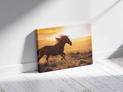 Freedom Ride – Galloping Horse Scene