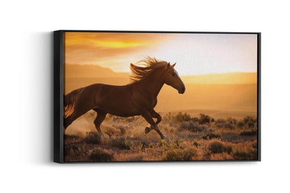 Freedom Ride – Galloping Horse Scene