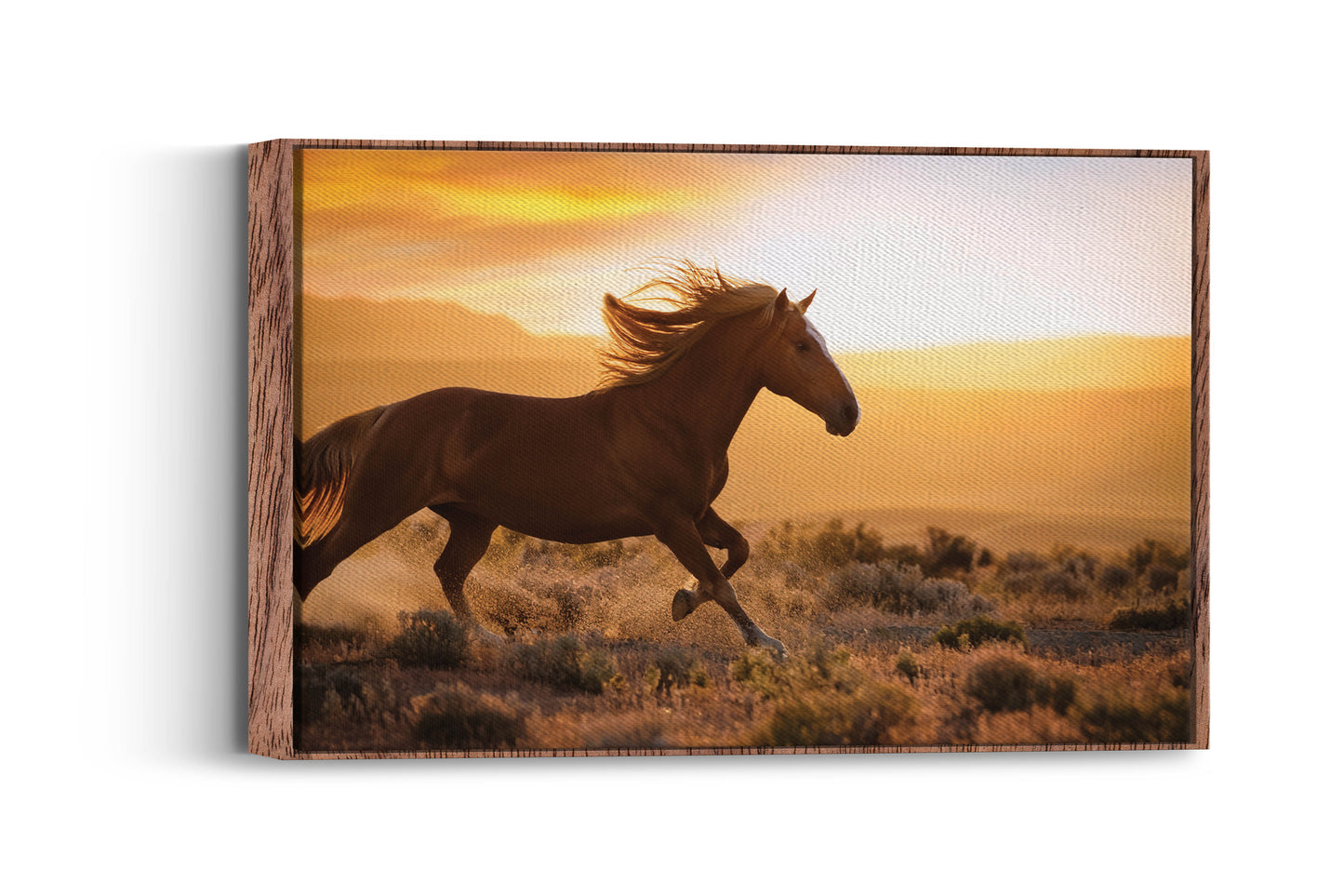 Freedom Ride – Galloping Horse Scene