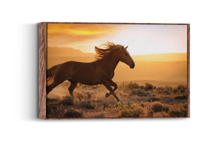 Freedom Ride – Galloping Horse Scene
