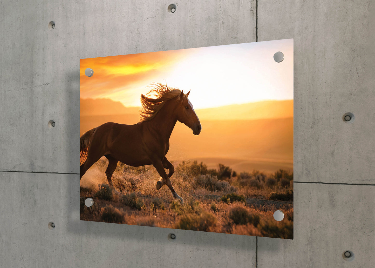 Freedom Ride – Galloping Horse Scene