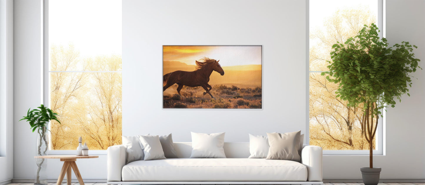 Freedom Ride – Galloping Horse Scene