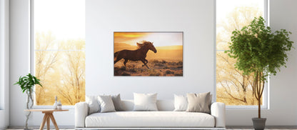 Freedom Ride – Galloping Horse Scene