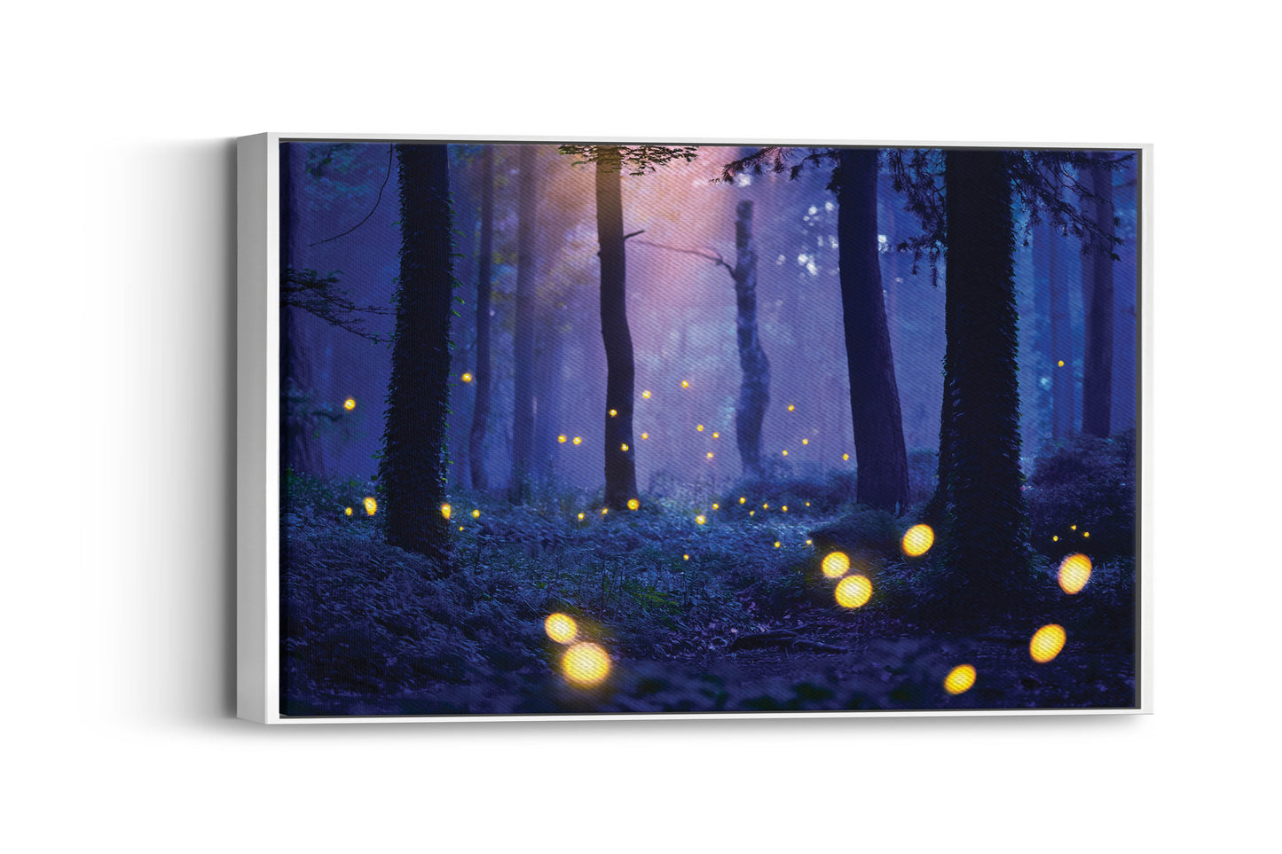 Mystic Lights – Magical Woodland Print