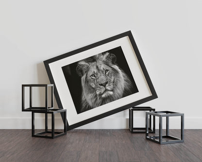 Majestic Mane Marvel – The King of the Wild in Stunning Detail