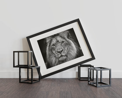 Majestic Roar - Unleash the Power and Elegance of the King of the Jungle