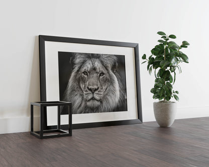 Majestic Roar - Unleash the Power and Elegance of the King of the Jungle
