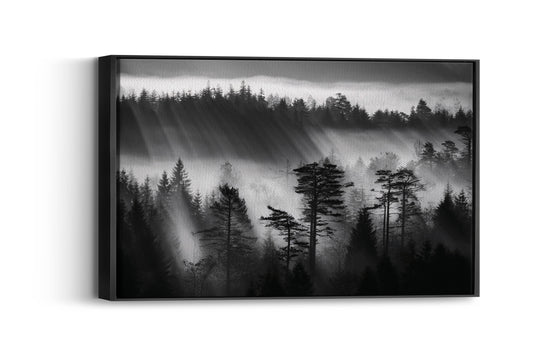 Mystical Pines- Enchanted Forest Vibes