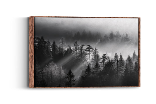 Mystical Pines- Whispering Forest