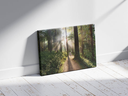 Enchanted Serenity – Step Into a Dreamlike Forest Escape