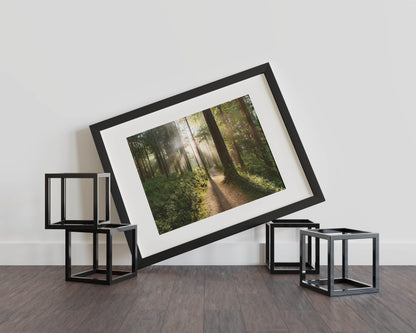 Enchanted Serenity – Step Into a Dreamlike Forest Escape
