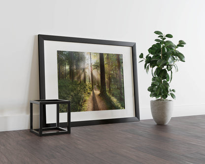 Enchanted Serenity – Step Into a Dreamlike Forest Escape
