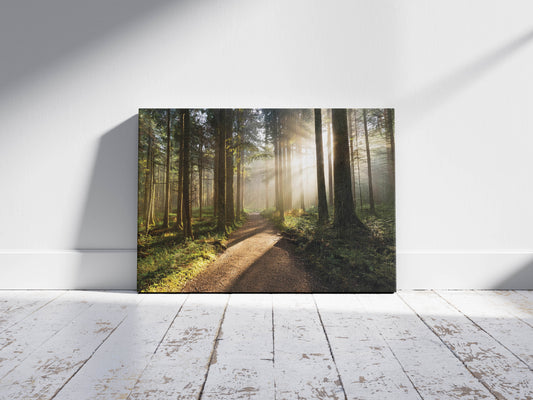 Enchanted Morning – Breathtaking Forest Pathway Wall Art