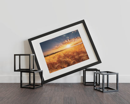 Golden Horizon – A Breathtaking Sunset Over a Golden Wheat Field