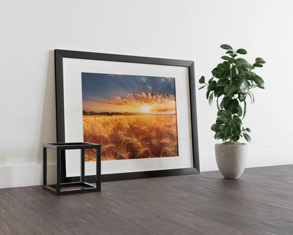 Golden Horizon – A Breathtaking Sunset Over a Golden Wheat Field