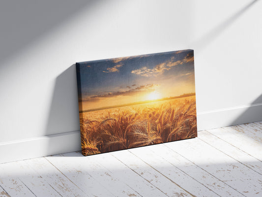 Golden Horizons – A Sunset-Kissed Wheat Field of Tranquility