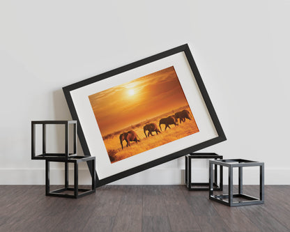 Elephant Safari