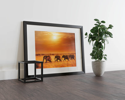 Elephant Safari