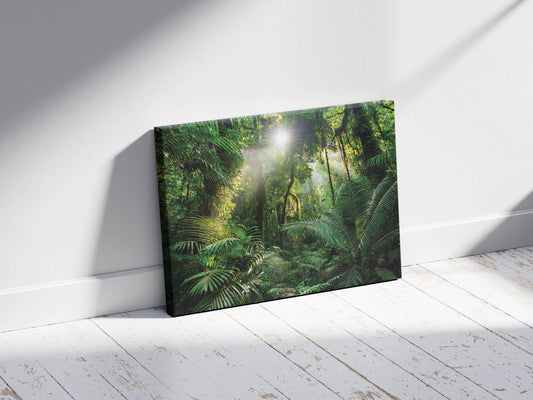 Emerald Jungle Adventure – Transform Your Space into a Lush Rainforest Escape