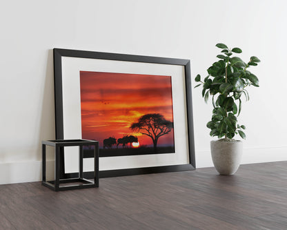 African Safari Sunset – Transform Your Space with the Breathtaking Beauty of Africa