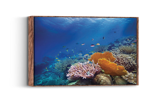 Vibrant Underwater Paradise