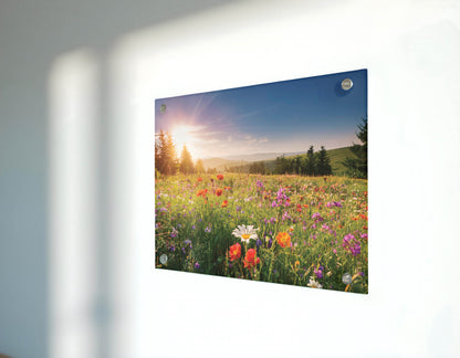 Meadow Magic - Wildflower Meadow Wall Art